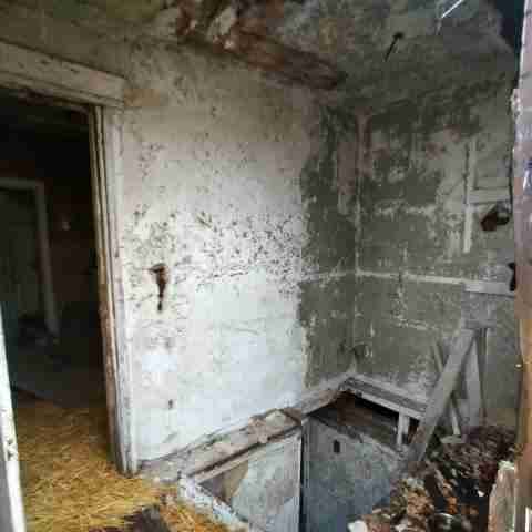 8031 conger (67).jpg